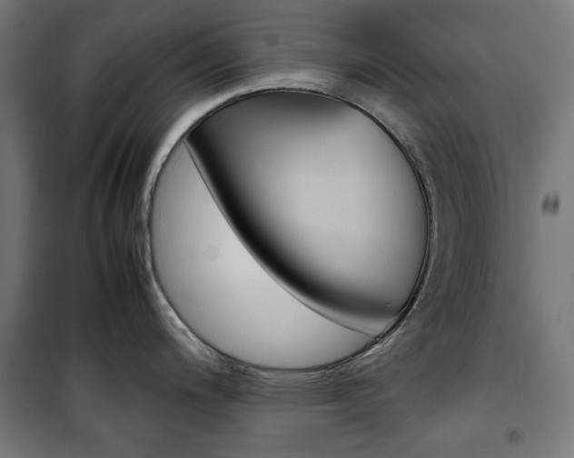 X0000100881200200806201139