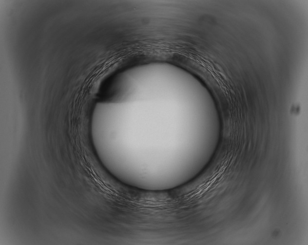 X0000100881201200806201139