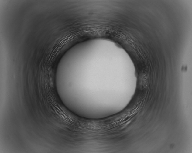 X0000100881202200806201139