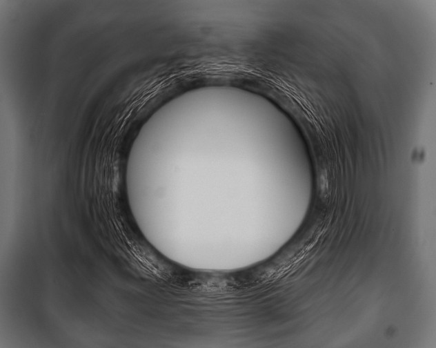 X0000100881204200806201139