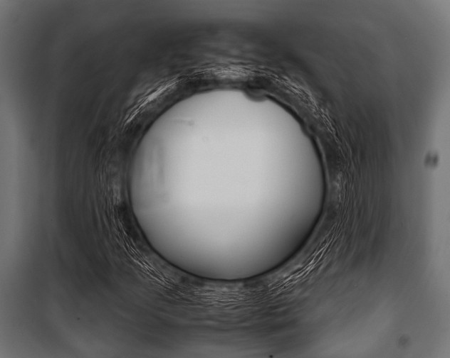 X0000100881205200806201139
