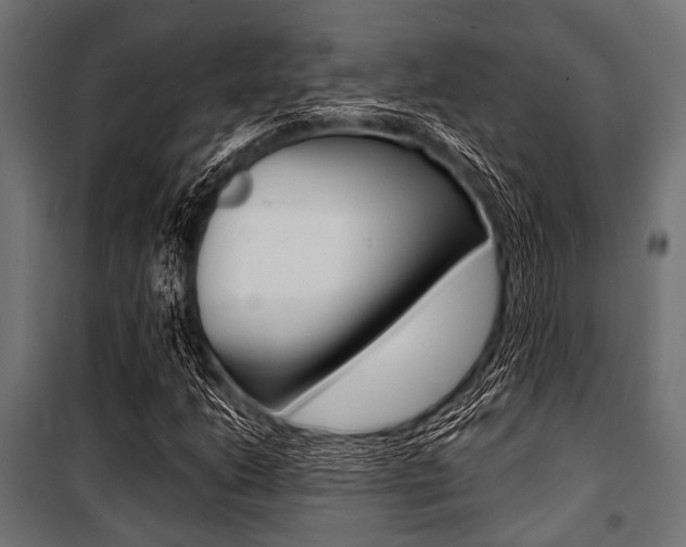X0000100881206200806201139