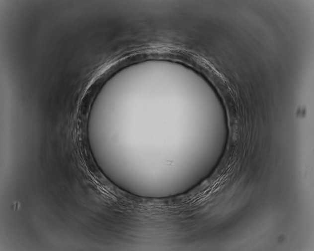 X0000100881208200806201139