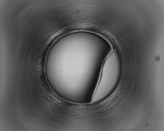 X0000100881210200806201139