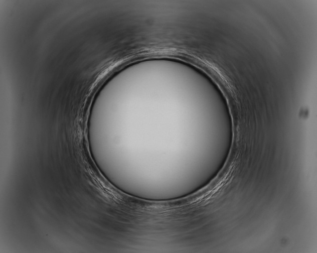 X0000100881212200806201139