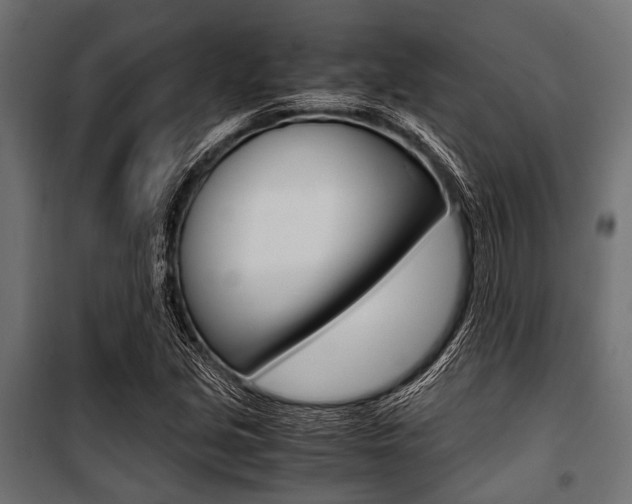 X0000100881213200806201139