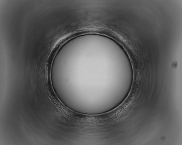 X0000100881214200806201139