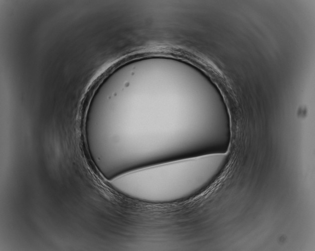 X0000100881216200806201139