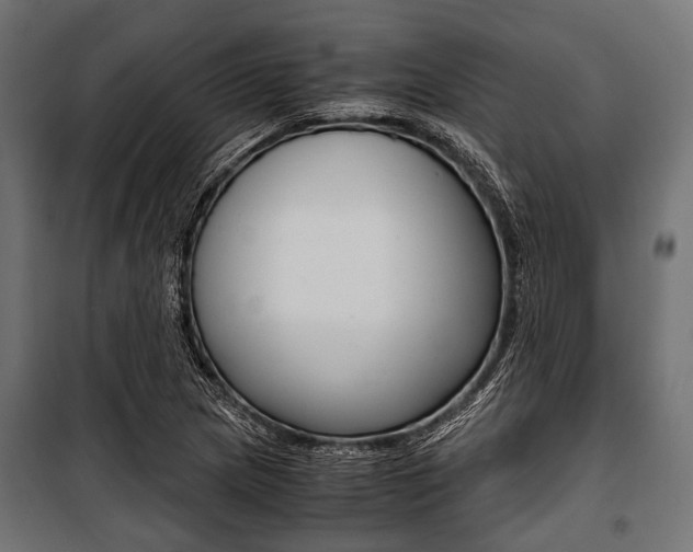 X0000100881217200806201139