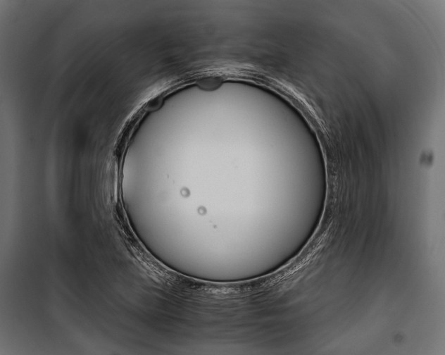 X0000100881219200806201139