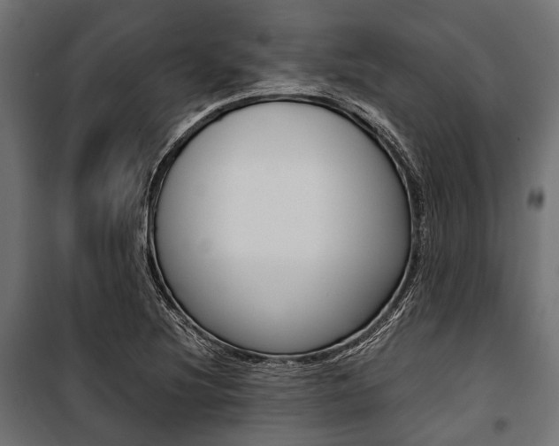 X0000100881220200806201139