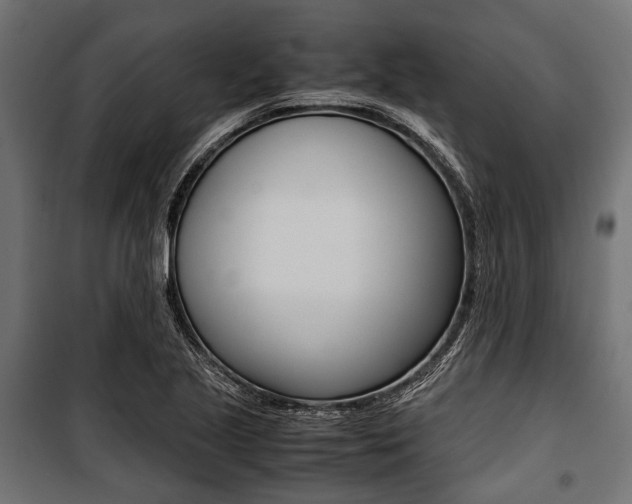 X0000100881221200806201139