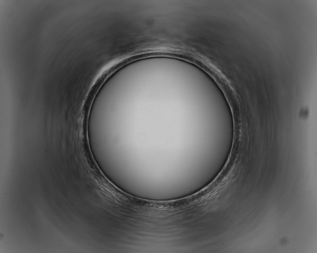 X0000100881222200806201139