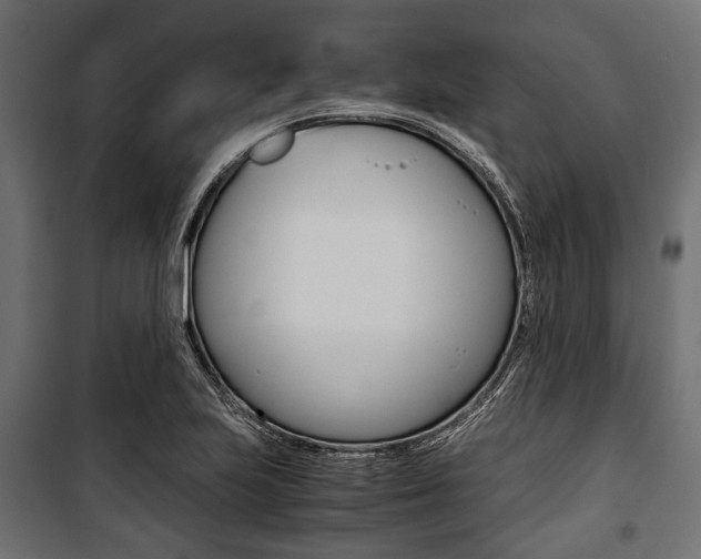 X0000100881223200806201139