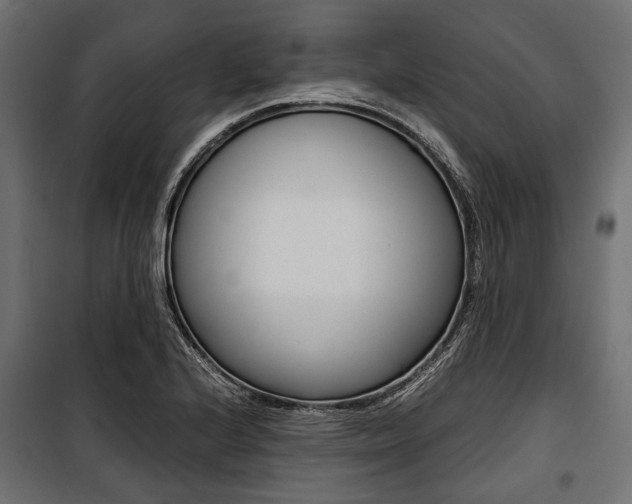 X0000100881224200806201139