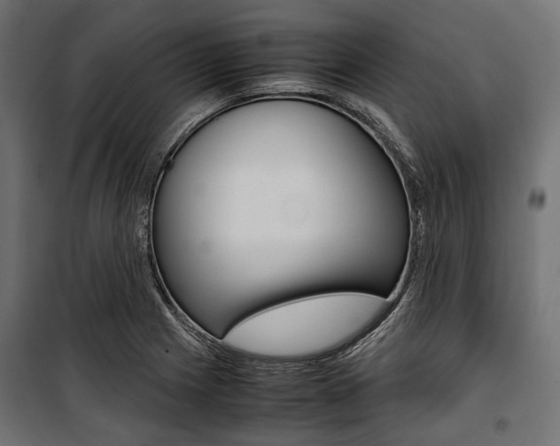 X0000100881225200806201139