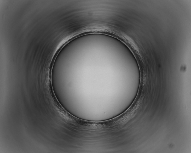 X0000100881226200806201139