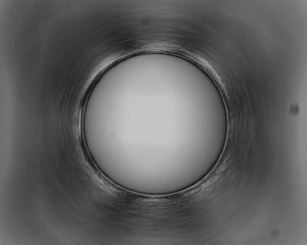 X0000100881227200806201139