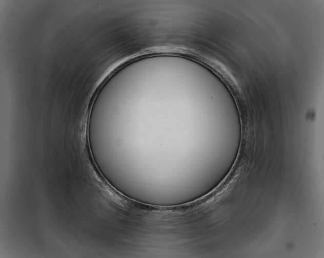 X0000100881228200806201139