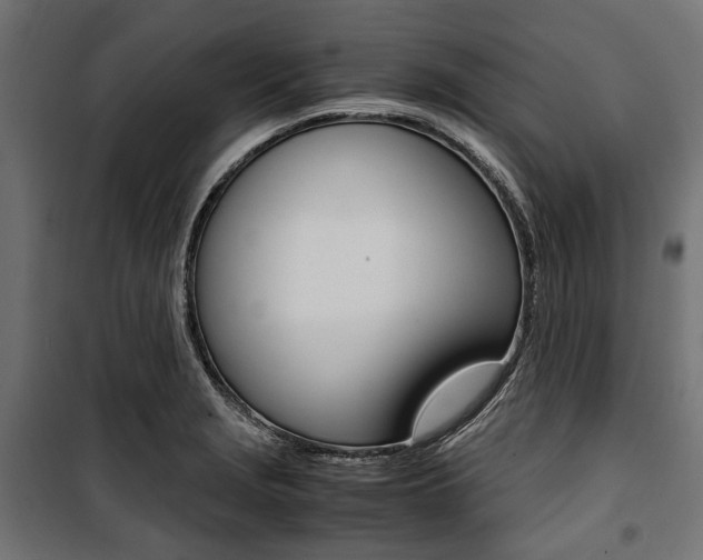 X0000100881229200806201139