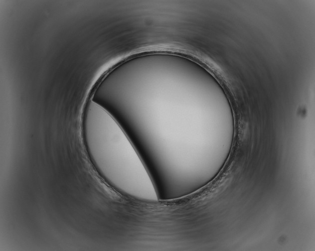 X0000100881230200806201139