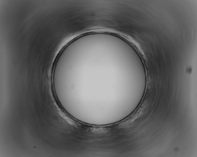 X0000100881231200806201139