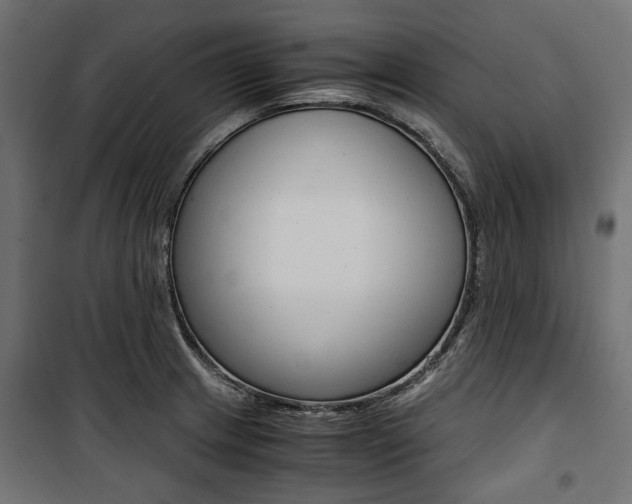 X0000100881233200806201139