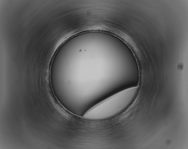 X0000100881234200806201139