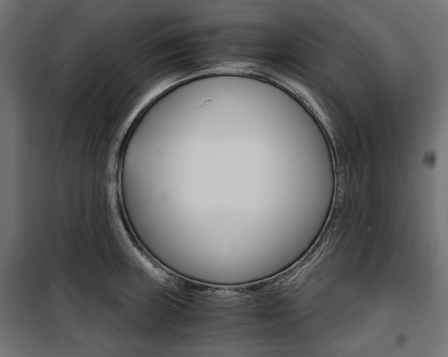 X0000100881235200806201139