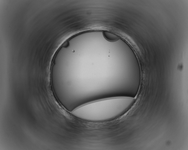X0000100881236200806201139