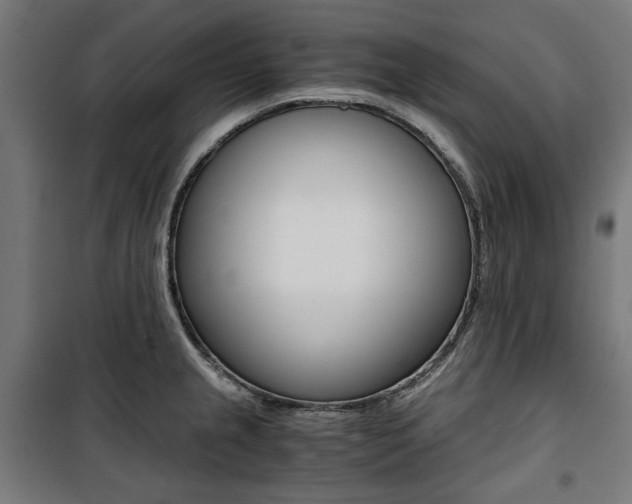 X0000100881237200806201139