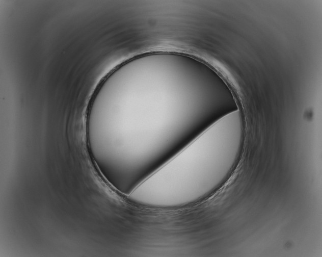 X0000100881238200806201139