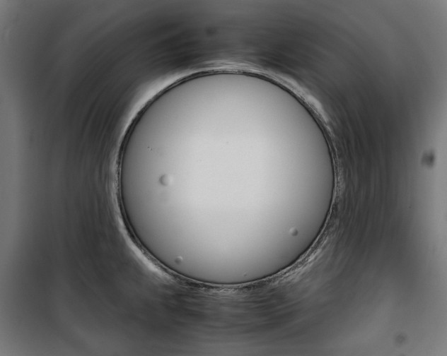X0000100881239200806201139