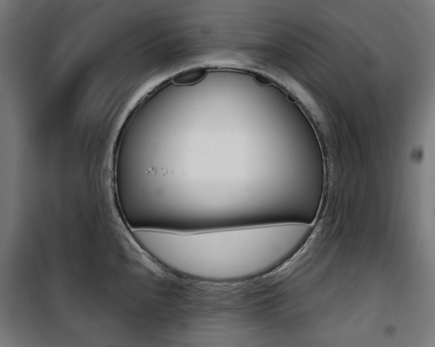 X0000100881240200806201139