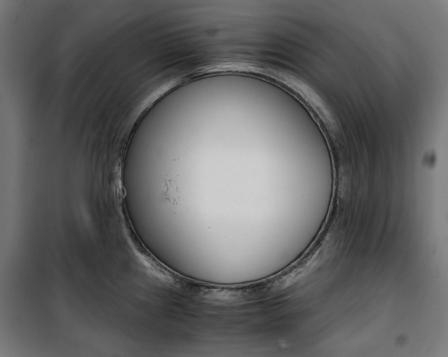 X0000100881241200806201139