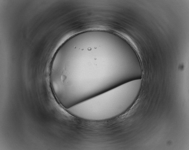 X0000100881243200806201139