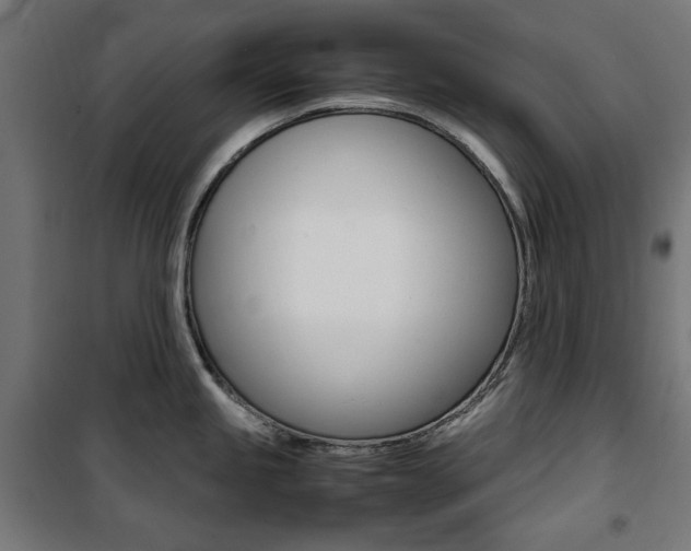 X0000100881245200806201139