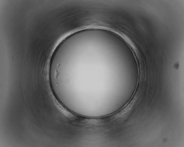 X0000100881246200806201139