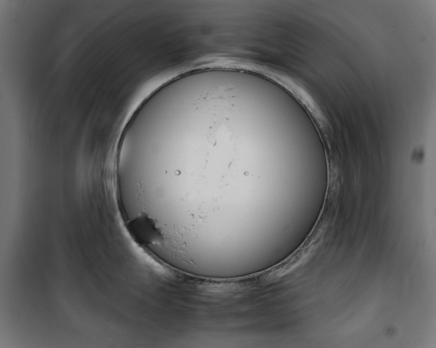 X0000100881247200806201139