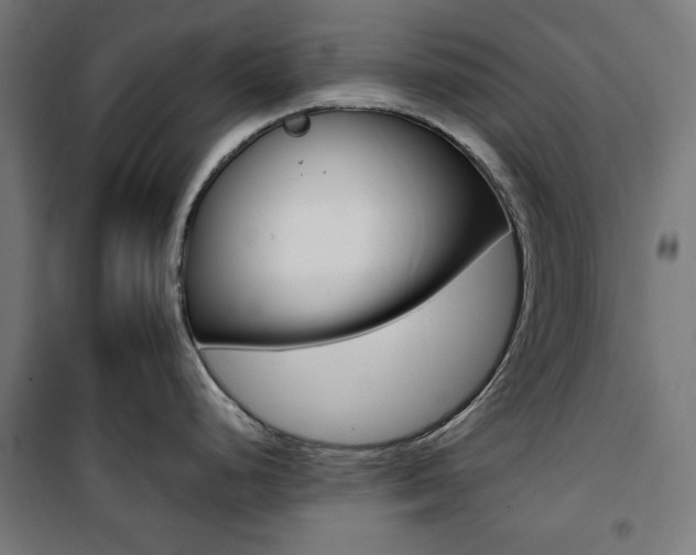 X0000100881248200806201139