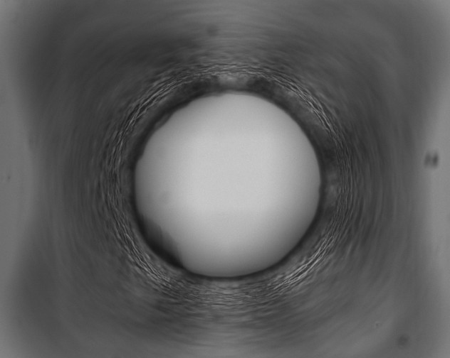 X0000100881249200806201139