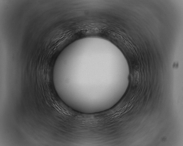 X0000100881250200806201139