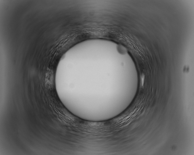 X0000100881251200806201139