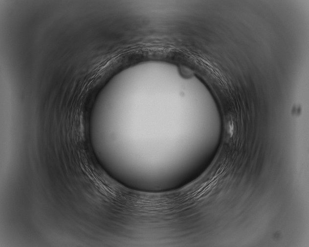 X0000100881252200806201139