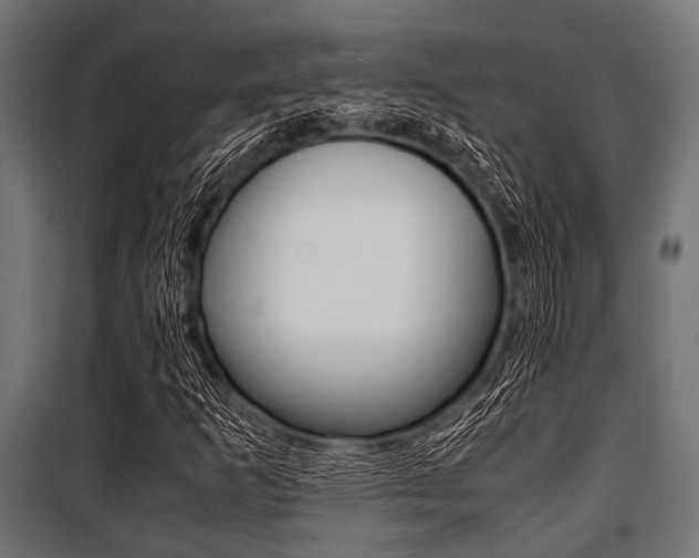 X0000100881253200806201139