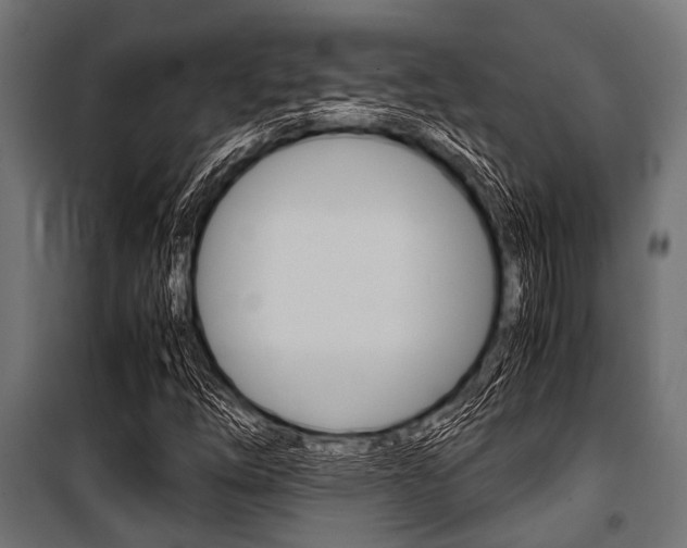 X0000100881254200806201139