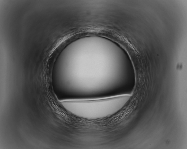X0000100881256200806201139