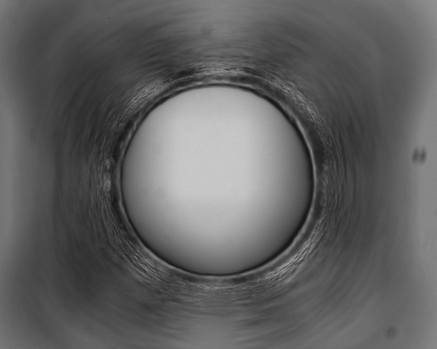 X0000100881257200806201139