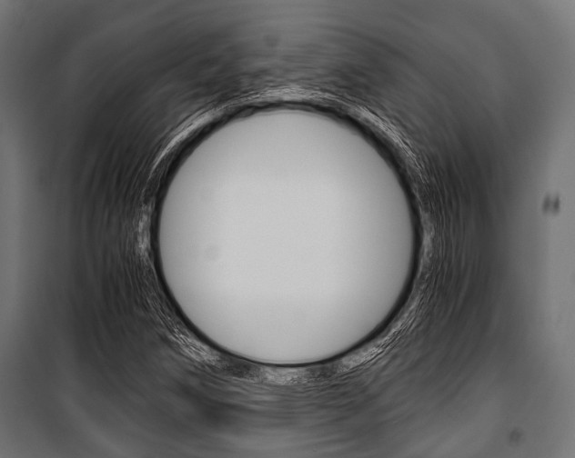 X0000100881258200806201139