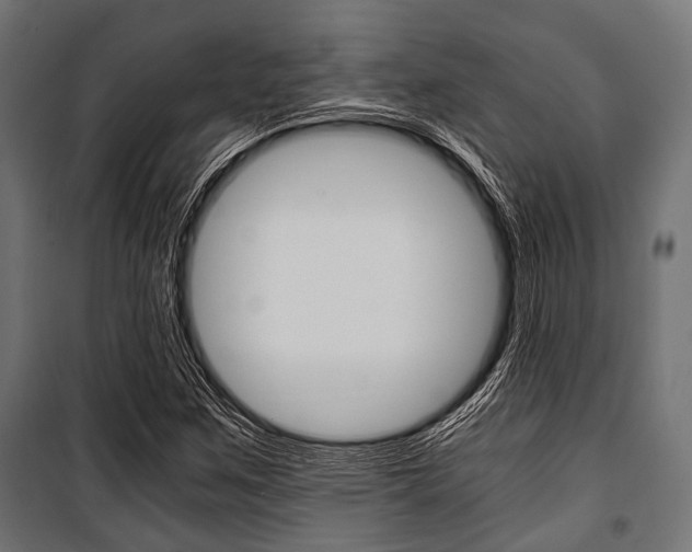 X0000100881259200806201139